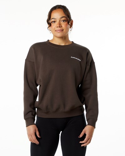 Alphalete Brushed Fleece Crewneck Svetrové Hnědé | 28761CWOA