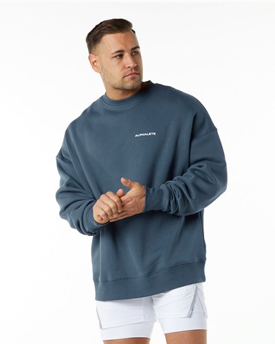 Alphalete Brushed Fleece Crewneck Svetrové Blankyt | 41280UJEM