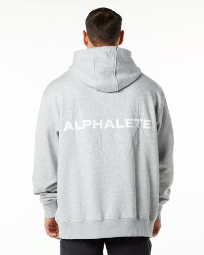 Alphalete Brushed Fleece Grafická Hoodie Šedé | 02567IYNP