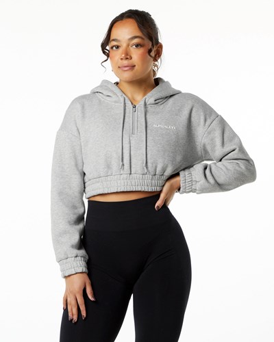 Alphalete Brushed Fleece Half-Zip Crop Hoodie Šedé | 24673HEUL