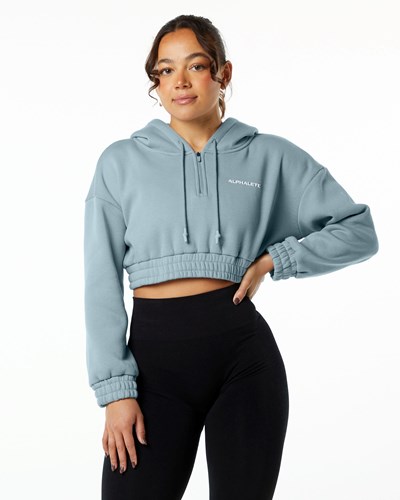 Alphalete Brushed Fleece Half-Zip Crop Hoodie Blankyt | 75138TRFL