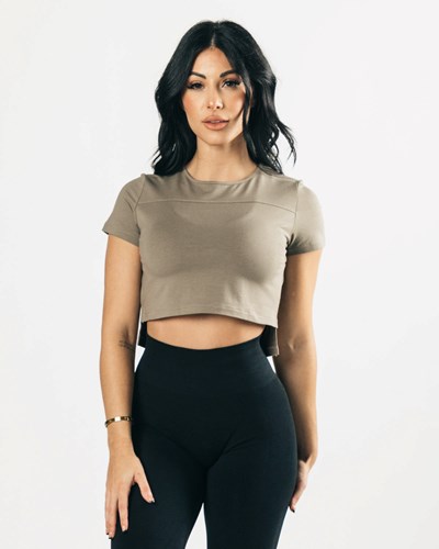 Alphalete Cropped Premium Krátké Sleeve Haze | 80614MFOC