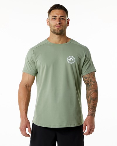 Alphalete Fitted Performance Krátké Sleeve Sage | 07839MDSX