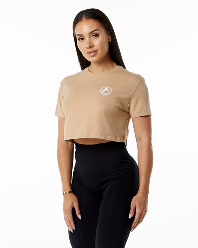 Alphalete Fitted Performance Krátké Sleeve Crop Taupe | 08436BSXR