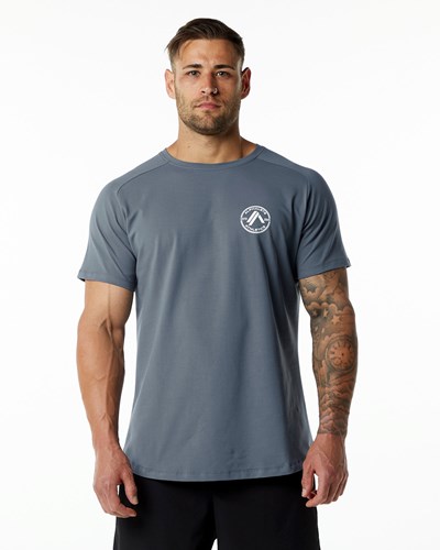 Alphalete Fitted Performance Krátké Sleeve Carbon | 56319XHIR