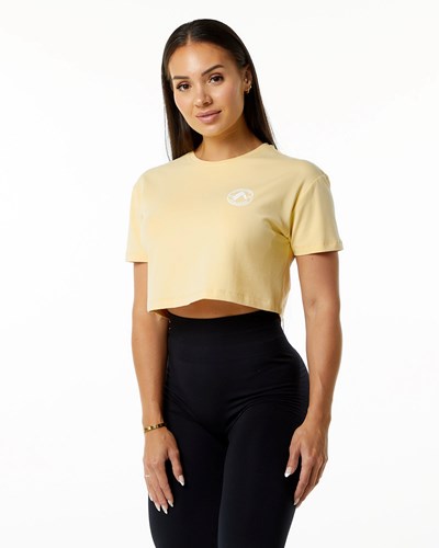 Alphalete Fitted Performance Krátké Sleeve Crop Daffodil | 92605CNOR