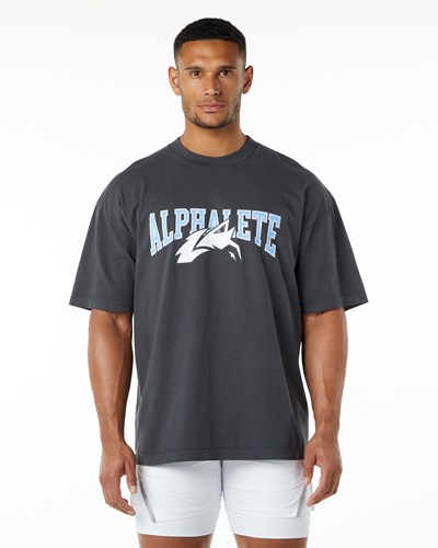 Alphalete Heavyweight Oversized Tee Blankyt | 15890XUIP