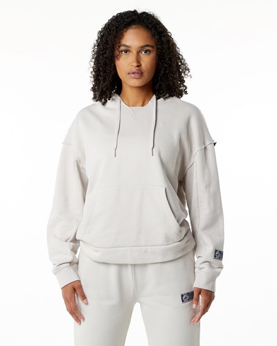 Alphalete Heavyweight Washed Terry Hoodie Moonstone | 81749HAPT