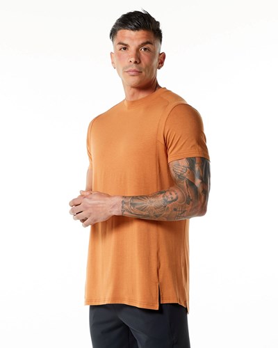 Alphalete High-Neck Premium Krátké Sleeve Tee Camel | 34128DUGE