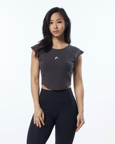 Alphalete High Performance Krátké Sleeve Crop Tee Šedé | 31867MUHV