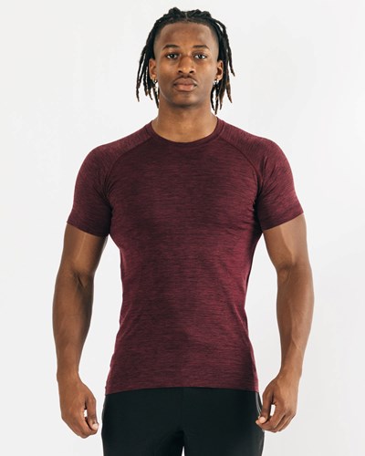 Alphalete High Performance Seamless Krátké Sleeve Tee Černé | 05687RPVA