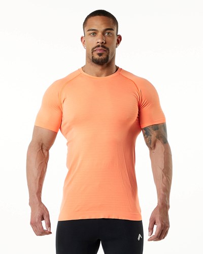 Alphalete High Performance Seamless Krátké Sleeve Tee Faded Day Tripper | 12508FIYK