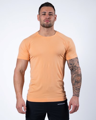 Alphalete High Performance Seamless Krátké Sleeve Tee Koralove | 35692UDKY