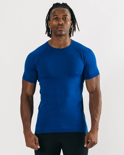 Alphalete High Performance Seamless Krátké Sleeve Tee Blankyt | 40573RPNE