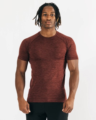 Alphalete High Performance Seamless Krátké Sleeve Tee Měď | 46215JMYU