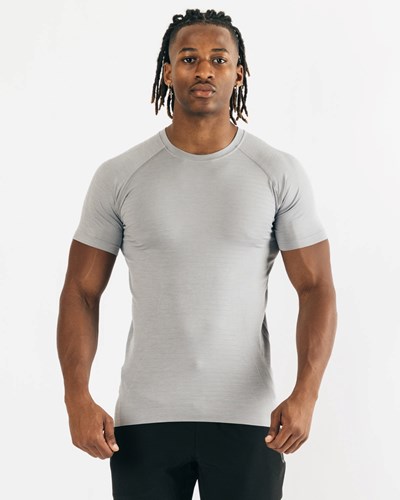 Alphalete High Performance Seamless Krátké Sleeve Tee Šedé | 54023OWCG