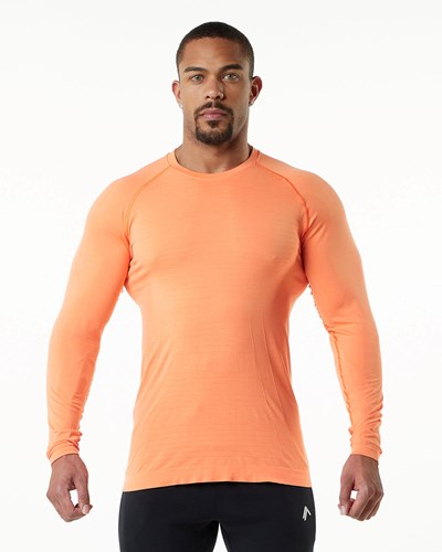 Alphalete High Performance Seamless Long Sleeve Tee Faded Day Tripper | 81362LFVM