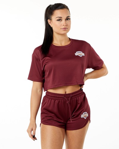 Alphalete Oversized Crop Jersey Crimson | 80243DLXI