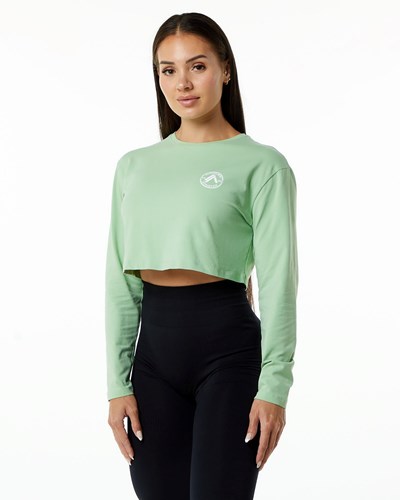 Alphalete Oversized Performance Long Sleeve Crop Pistachio | 50372VOAR