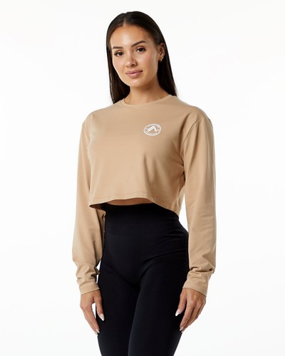 Alphalete Oversized Performance Long Sleeve Crop Taupe | 57431UTOJ