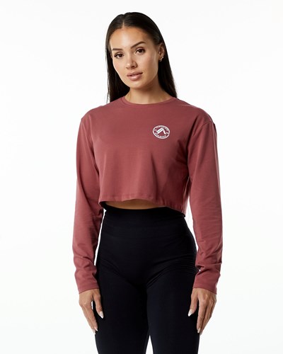 Alphalete Oversized Performance Long Sleeve Crop Gingerbread | 72431BREZ