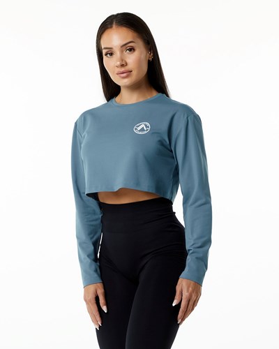 Alphalete Oversized Performance Long Sleeve Crop Blankyt | 93702CUXA