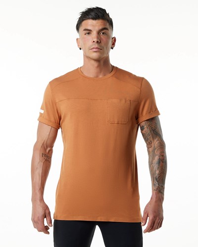 Alphalete Premium Krátké Sleeve Pocket Tee Camel | 17629IMUV