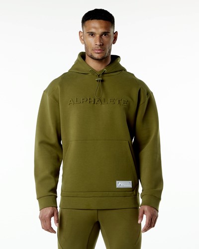 Alphalete Relaxed Interlock Knit Hoodie Moss | 47632DIJC