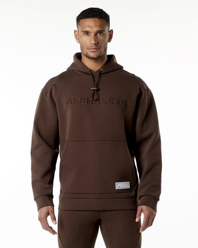 Alphalete Relaxed Interlock Knit Hoodie Hnědé | 62015DAOS