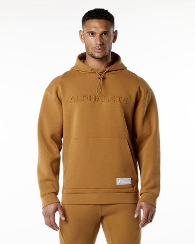 Alphalete Relaxed Interlock Knit Hoodie Almond | 75281ROFT