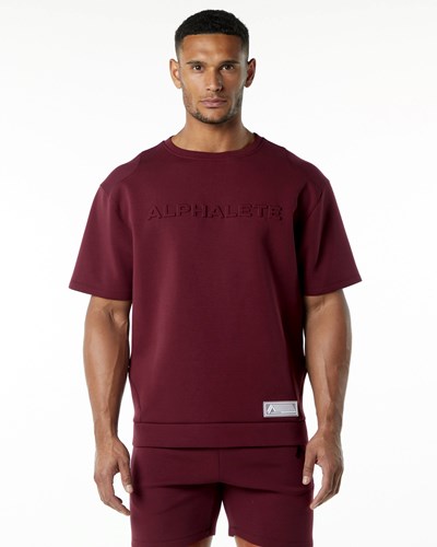 Alphalete Relaxed Interlock Knit Pullover Vínové | 81349MFQN