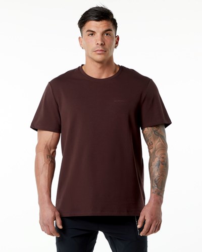 Alphalete Set-In Sleeve Tee Vínové | 48156AKGS