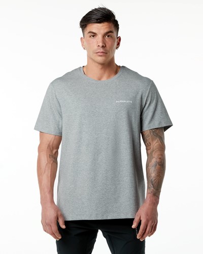 Alphalete Set-In Sleeve Tee Šedé | 07682EAGS