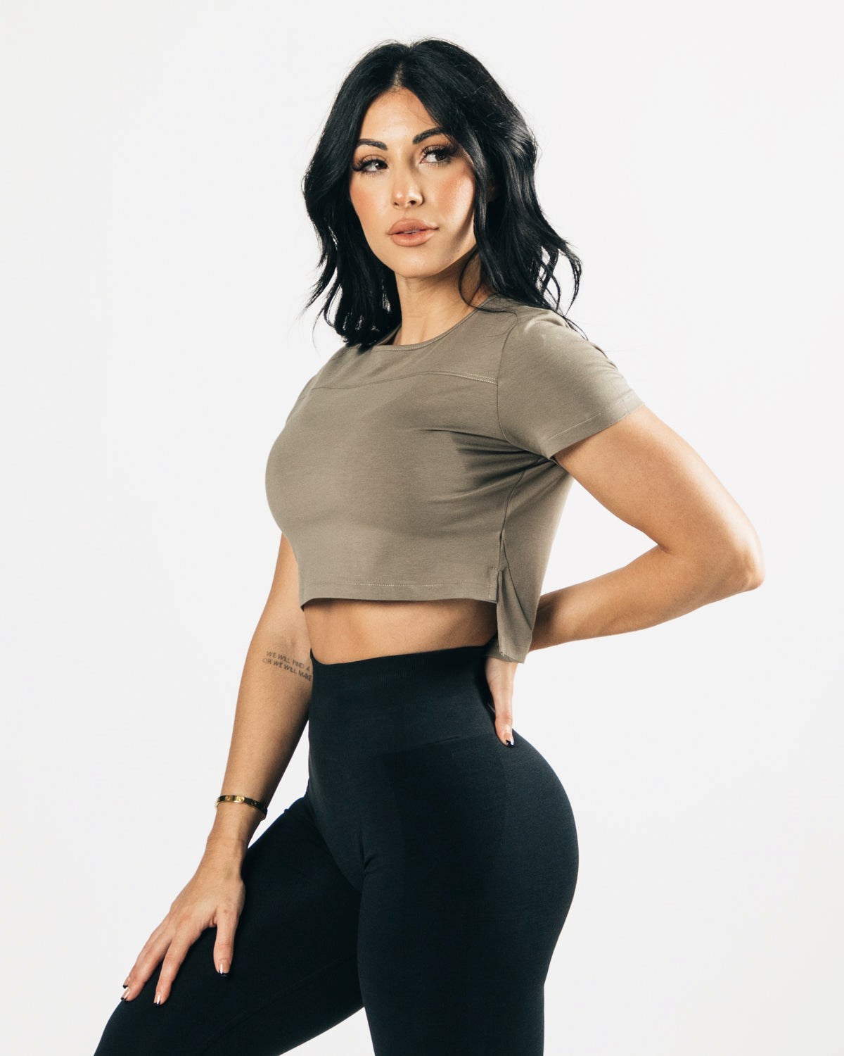 Alphalete Cropped Premium Krátké Sleeve Haze | 80614MFOC