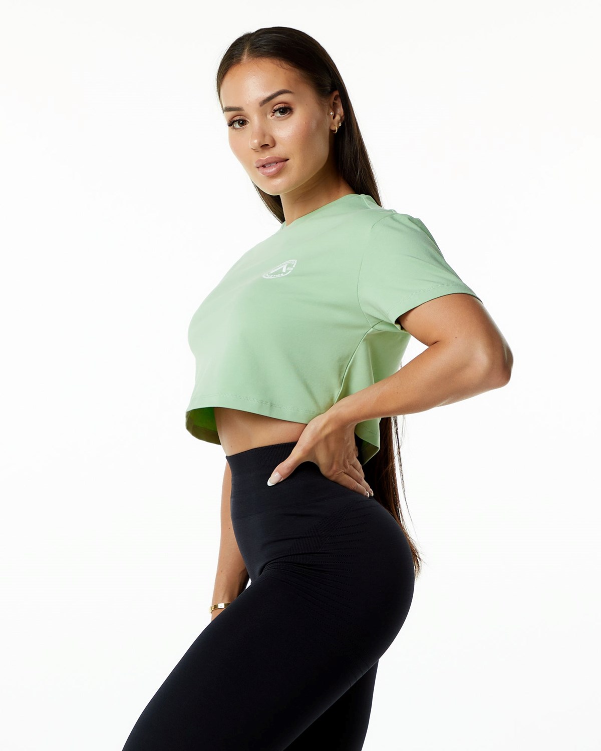 Alphalete Fitted Performance Krátké Sleeve Crop Pistachio | 24895UZIJ