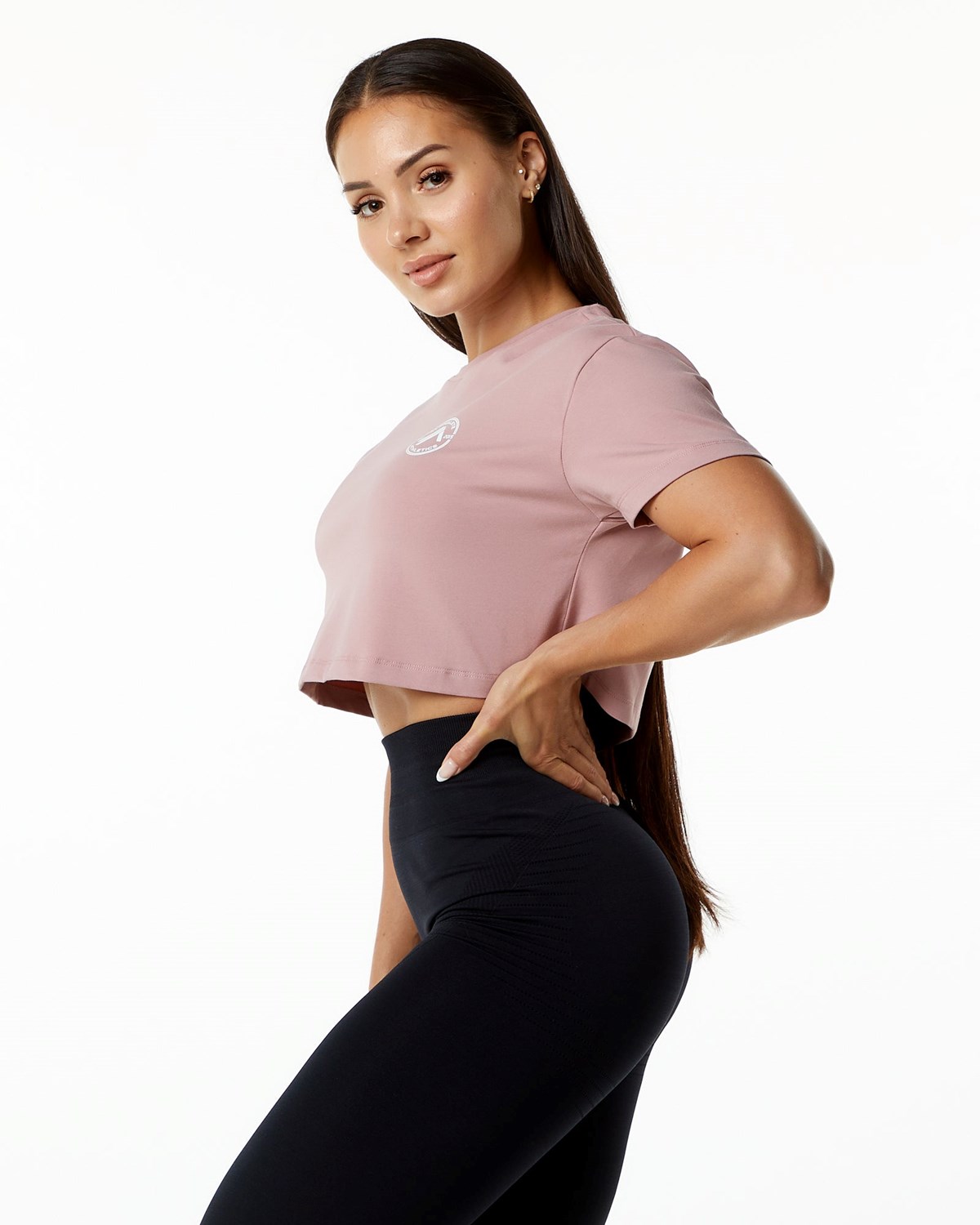 Alphalete Fitted Performance Krátké Sleeve Crop Mauve | 36479HFNE