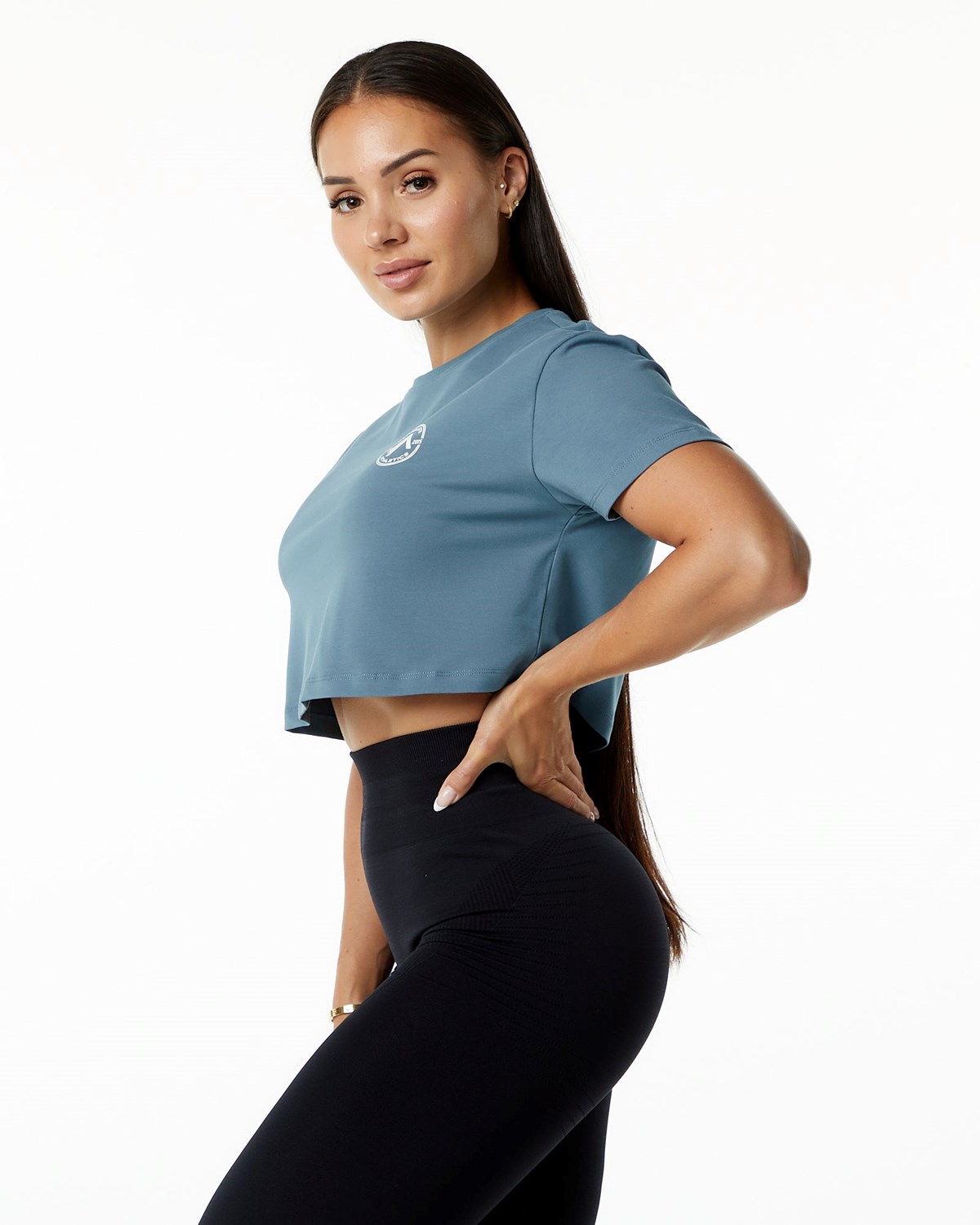 Alphalete Fitted Performance Krátké Sleeve Crop Blankyt | 46970HRDA