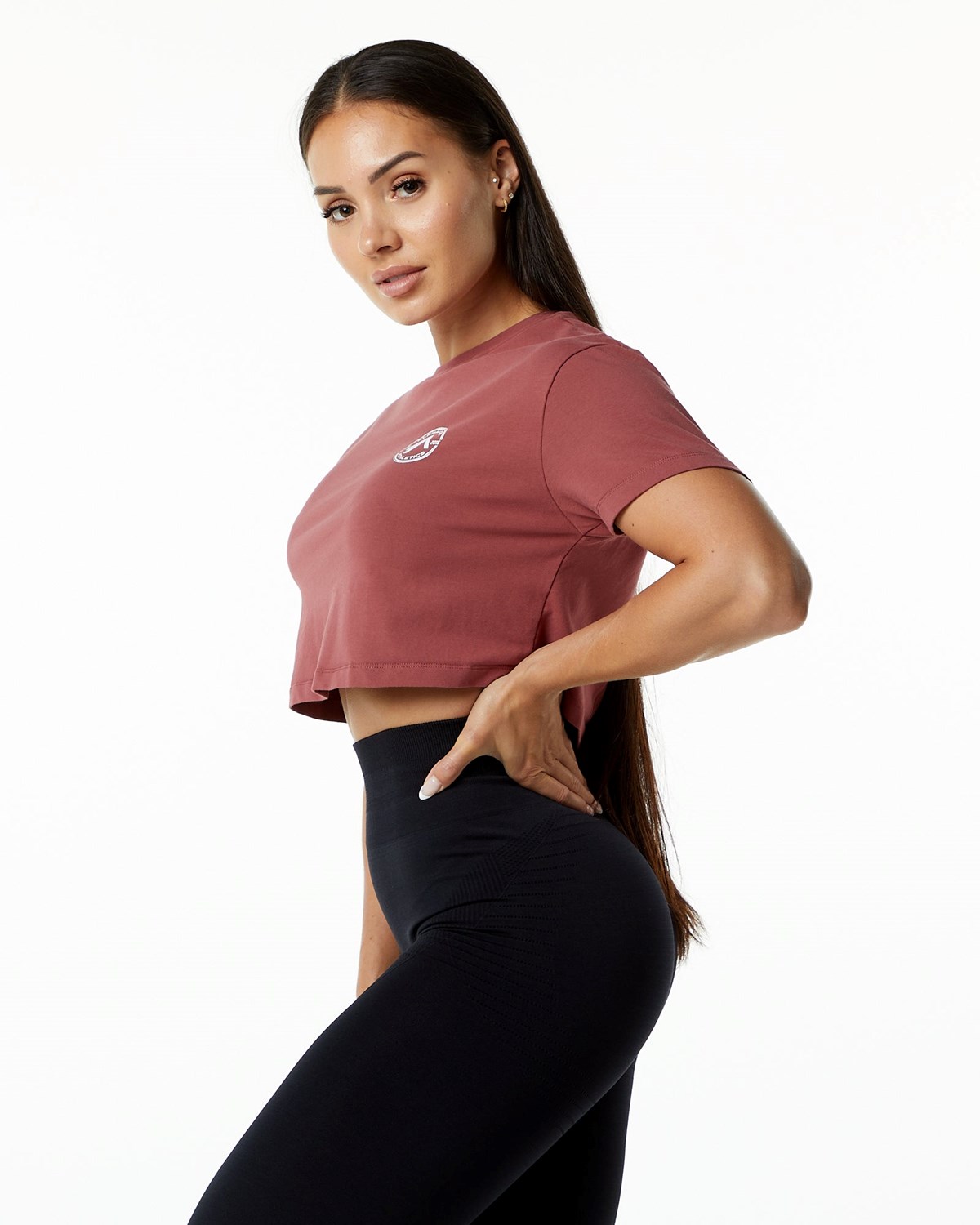 Alphalete Fitted Performance Krátké Sleeve Crop Gingerbread | 57436RFOA