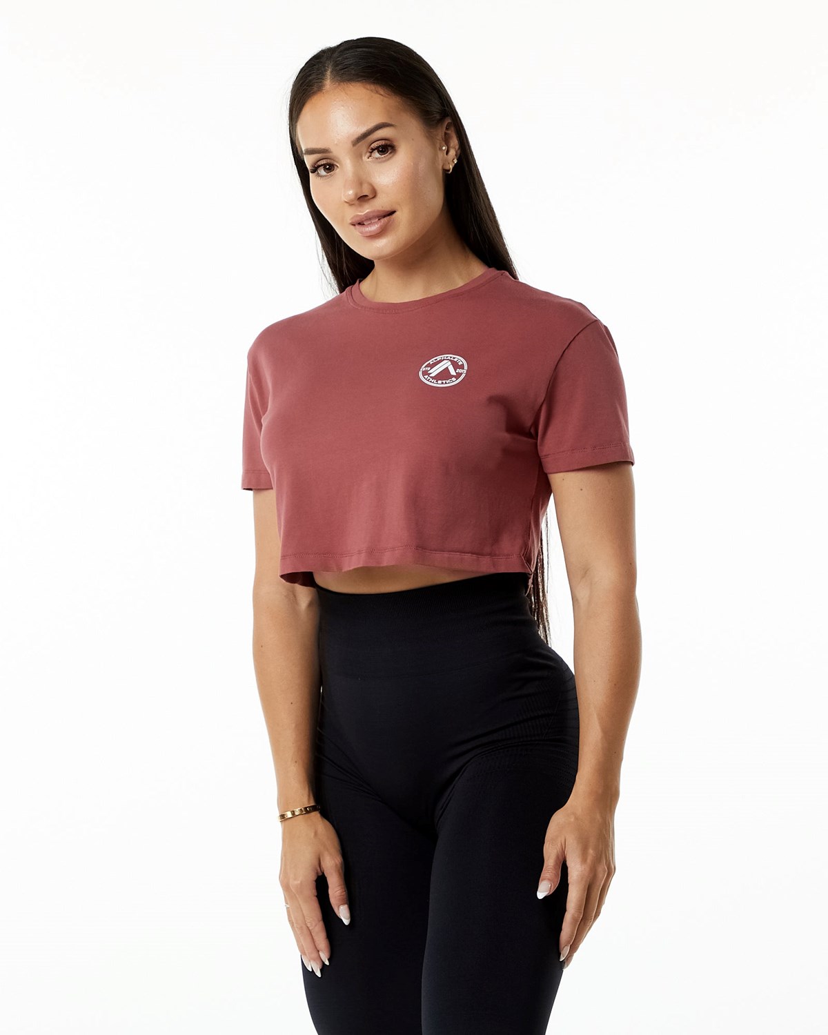 Alphalete Fitted Performance Krátké Sleeve Crop Gingerbread | 57436RFOA