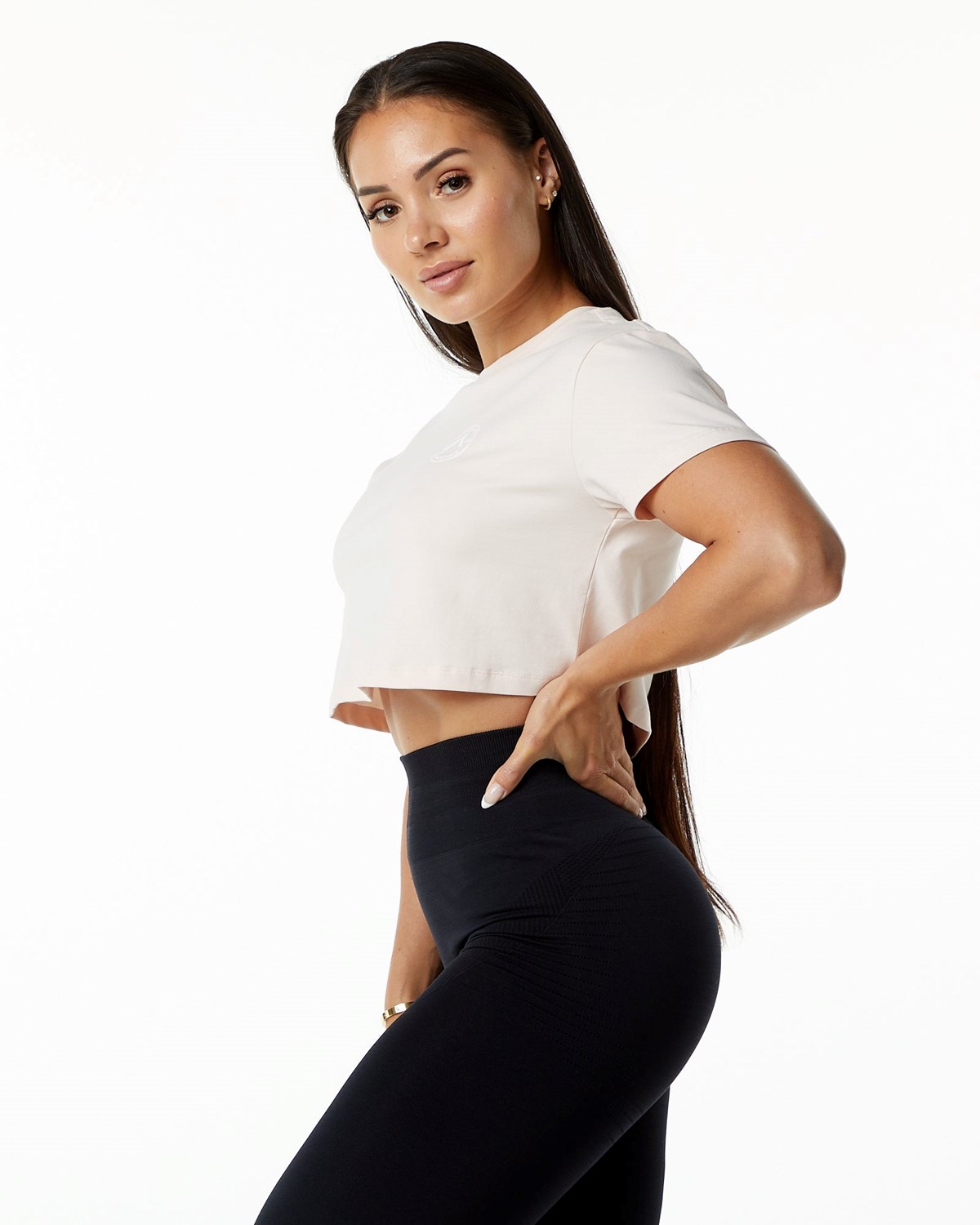 Alphalete Fitted Performance Krátké Sleeve Crop Blush | 93261DZBE