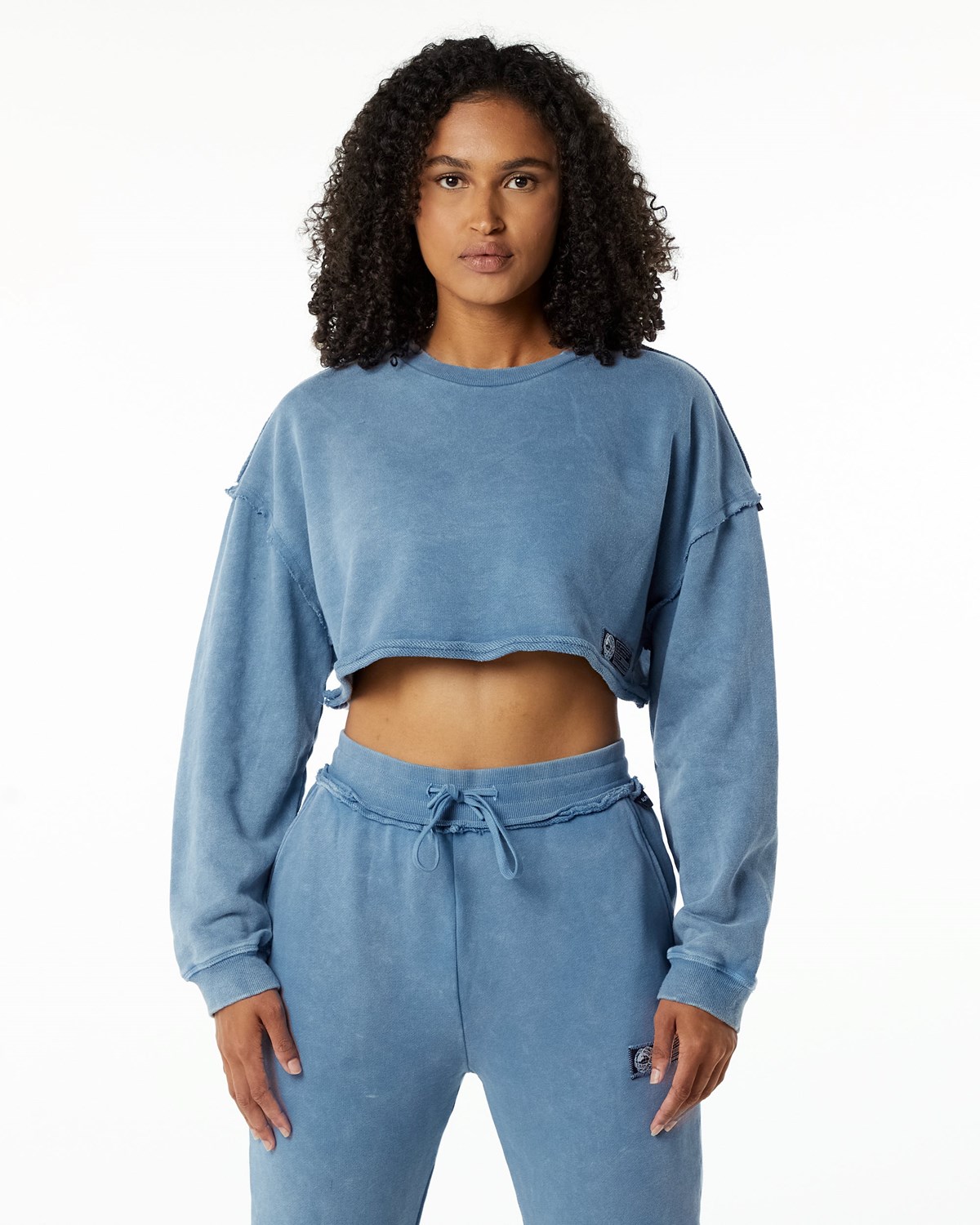 Alphalete Heavyweight Washed Terry Crop Pullover Blankyt | 43176NOFL