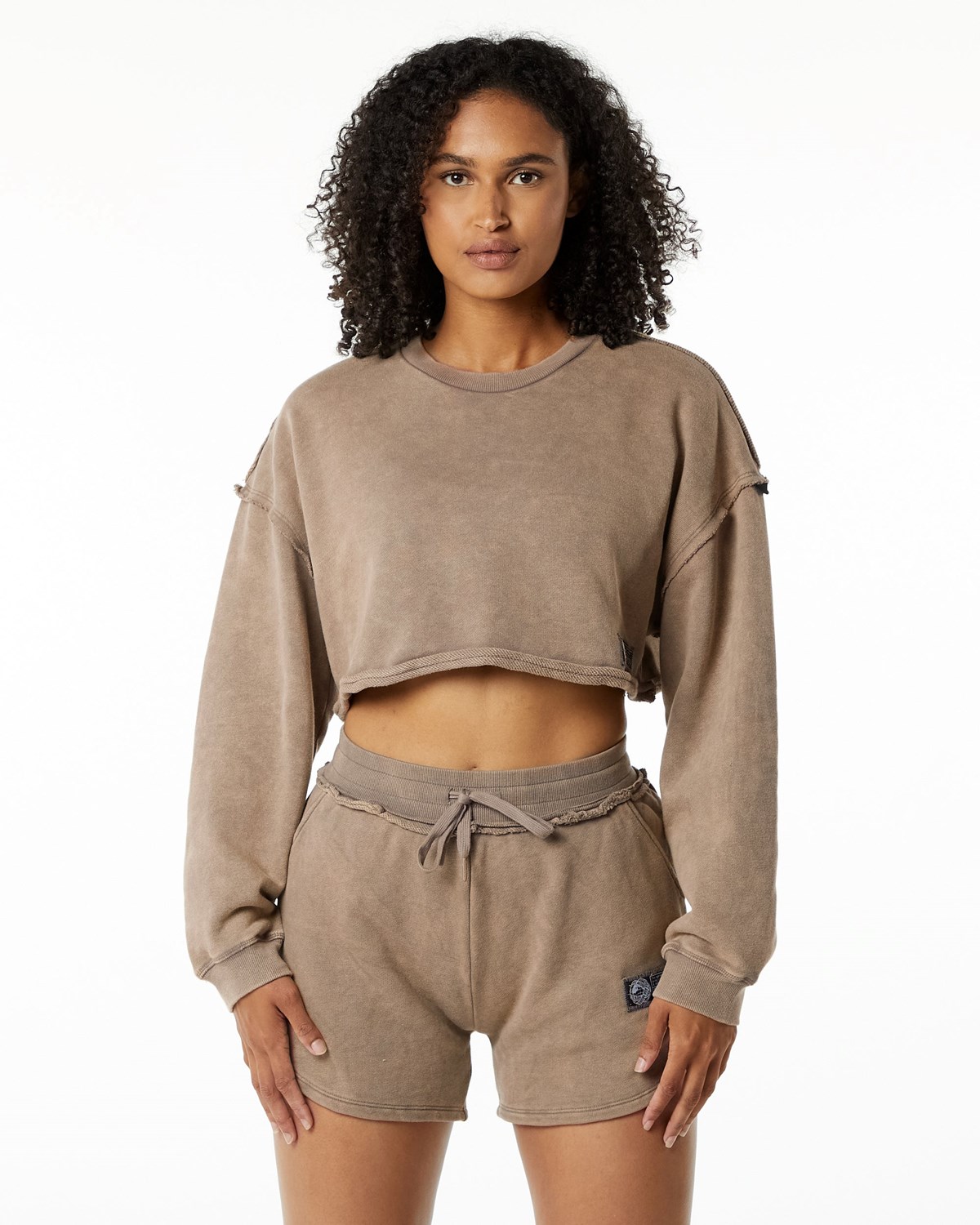 Alphalete Heavyweight Washed Terry Crop Pullover Smokey Quartz | 57382JSND