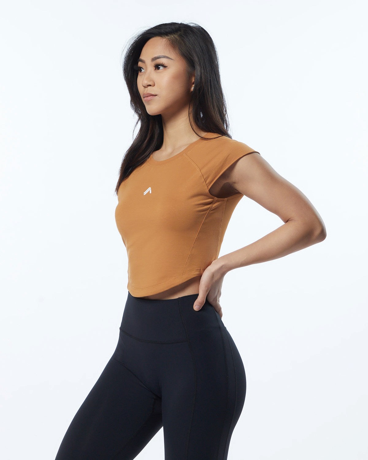 Alphalete High Performance Krátké Sleeve Crop Tee Chestnut | 42618APNU