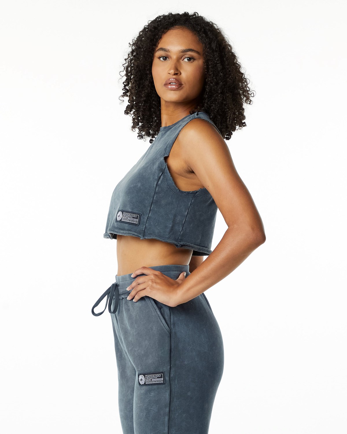 Alphalete Mid-Weight Washed Terry Crop Cutoff Blankyt | 91642QYNV