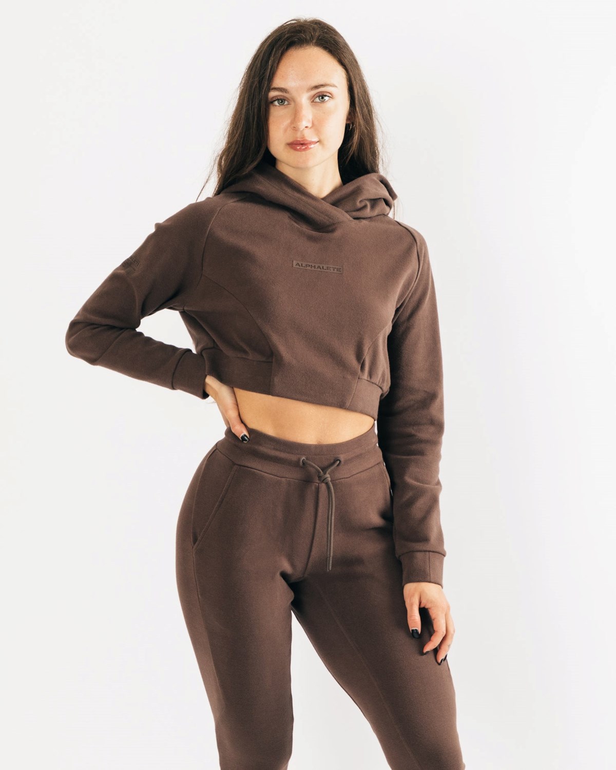 Alphalete Relaxed Single-Brushed Pullover Hoodie Cocoa | 17263WQIP